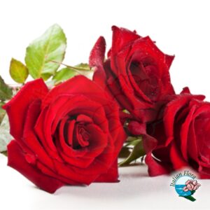 Tre rose rosse