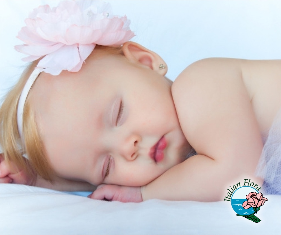 I fiori adatti per la nascita e il battesimo di un bambino