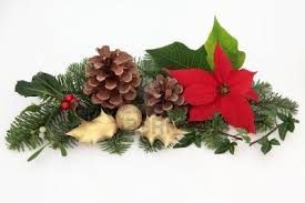 Fiori da regalare a Natale