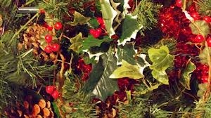 bacche rosse