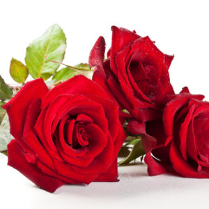 Tre rose rosse