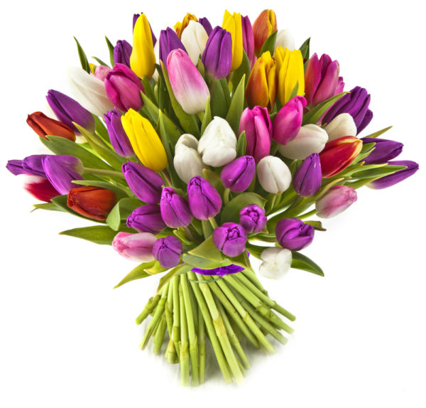 Bouquet di tulipani