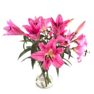 Mazzo di gigli rosa