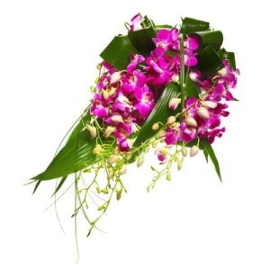 Mazzo di orchidee dendrobium