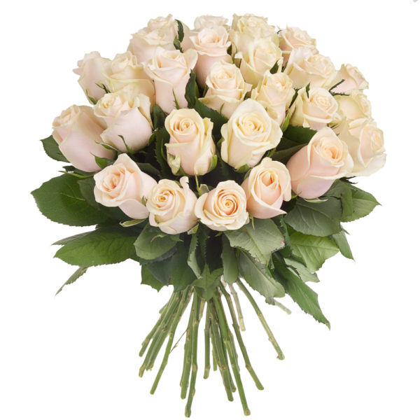Elegante bouquet di rose avorio