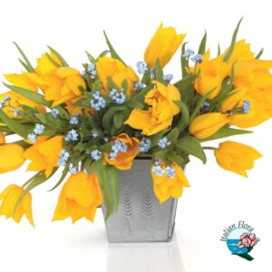 Composizione di tulipani gialli