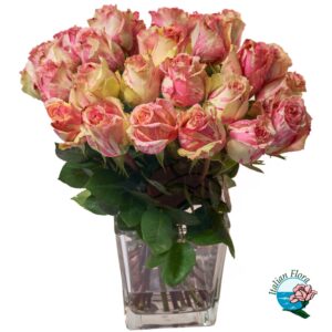 Mazzo di 24 rose sfumate rosa