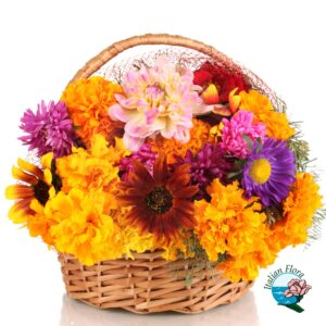 Cestino di fiori vivaci