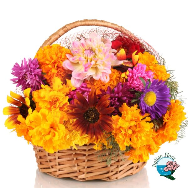 Cestino di fiori vivaci