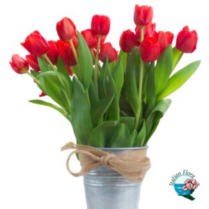 Bouquet di tulipani rossi