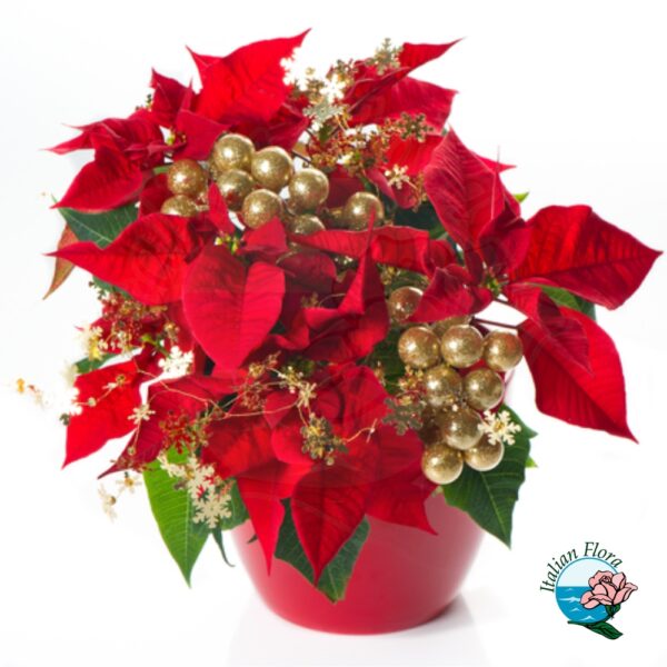 Stella di Natale con decorazioni