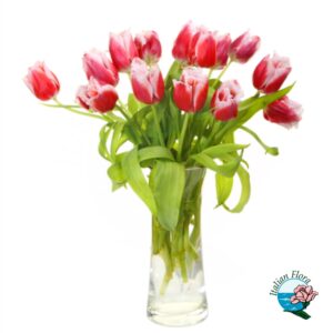 Mazzo di tulipani sfumati