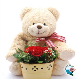 Cestino di rose rosse con peluche