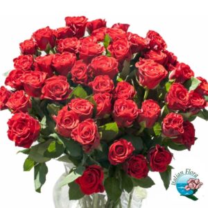 bouquet 50 rose rosse