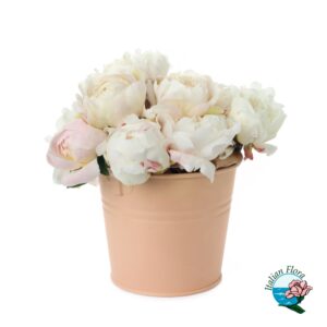 Composizione di peonie in vaso