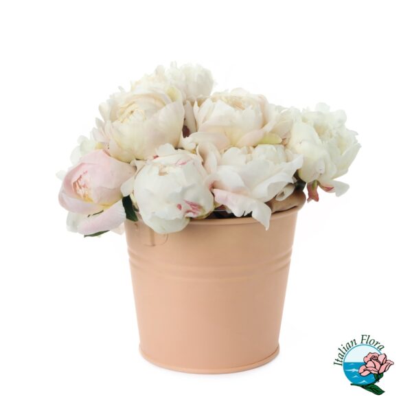 Composizione di peonie in vaso